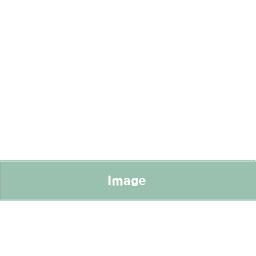 attachment image