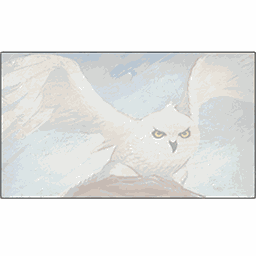 attachment image