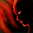 attachment image