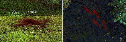 attachment image
