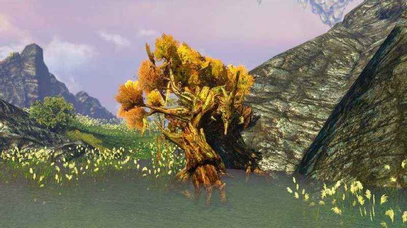 attachment image